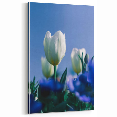 Elegant White Tulips - Spring Wall Art Floral Botanical Canvas