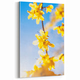 Golden Yellow Blossoms - Spring Wall Art Floral Canvas Print