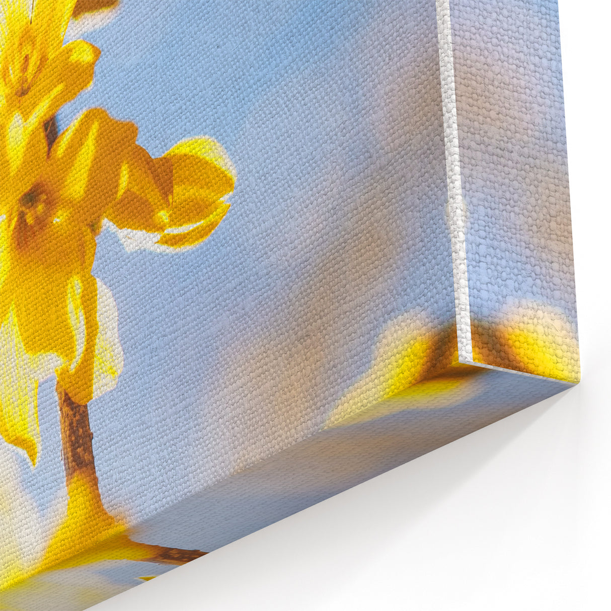 Golden Yellow Blossoms - Spring Wall Art Floral Canvas Print