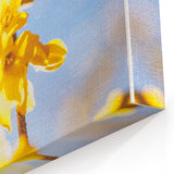 Golden Yellow Blossoms - Spring Wall Art Floral Canvas Print
