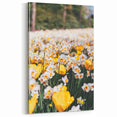 Spring Bloom - Yellow Tulips and Daffodils Floral Wall Art