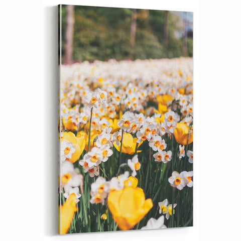 Spring Bloom - Yellow Tulips and Daffodils Floral Wall Art
