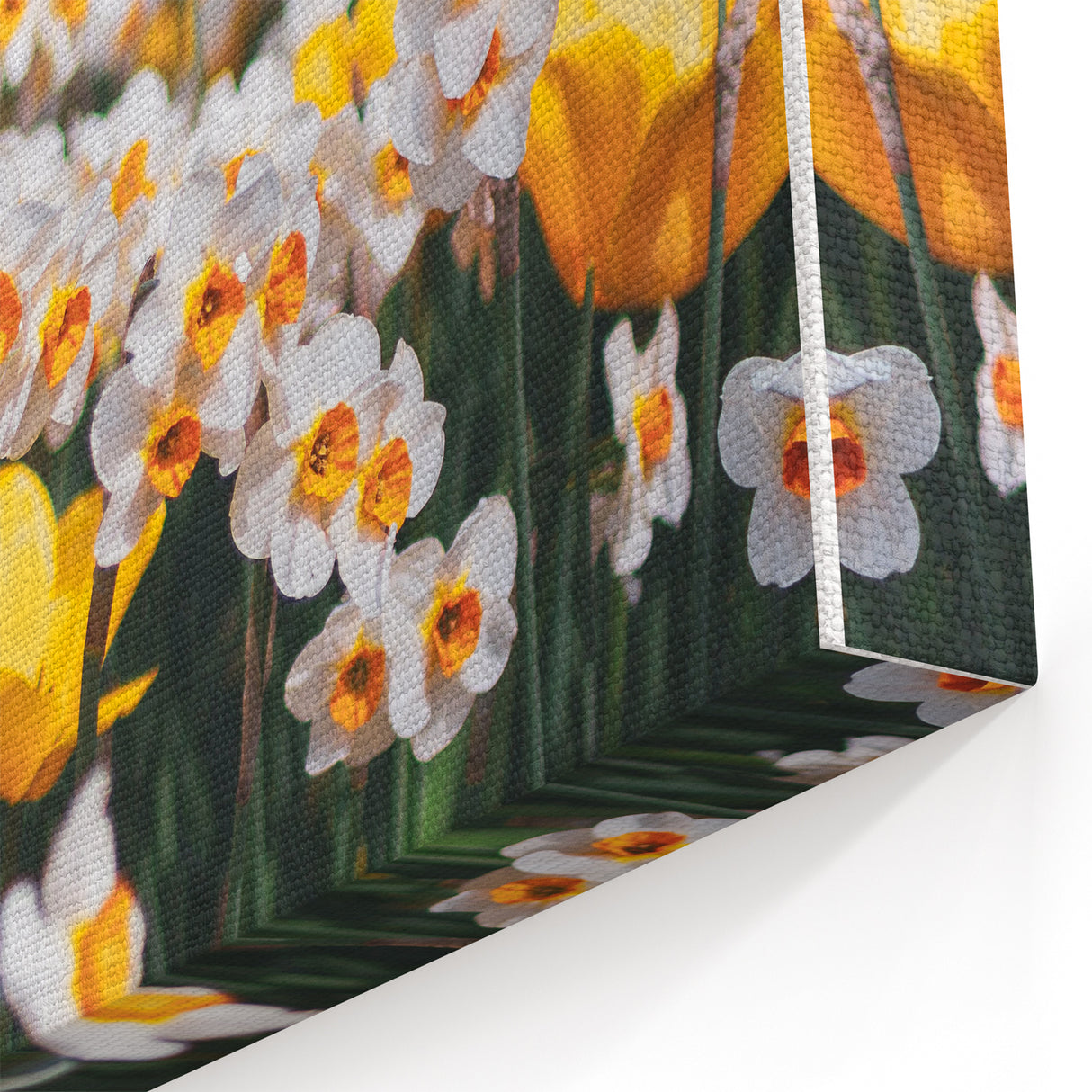Spring Bloom - Yellow Tulips and Daffodils Floral Wall Art