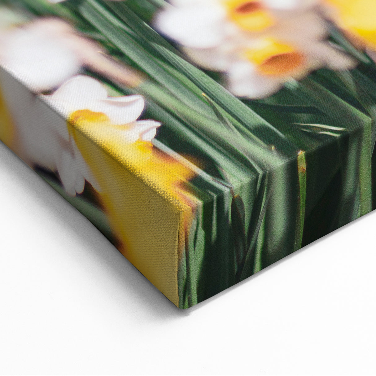 Spring Bloom - Yellow Tulips and Daffodils Floral Wall Art