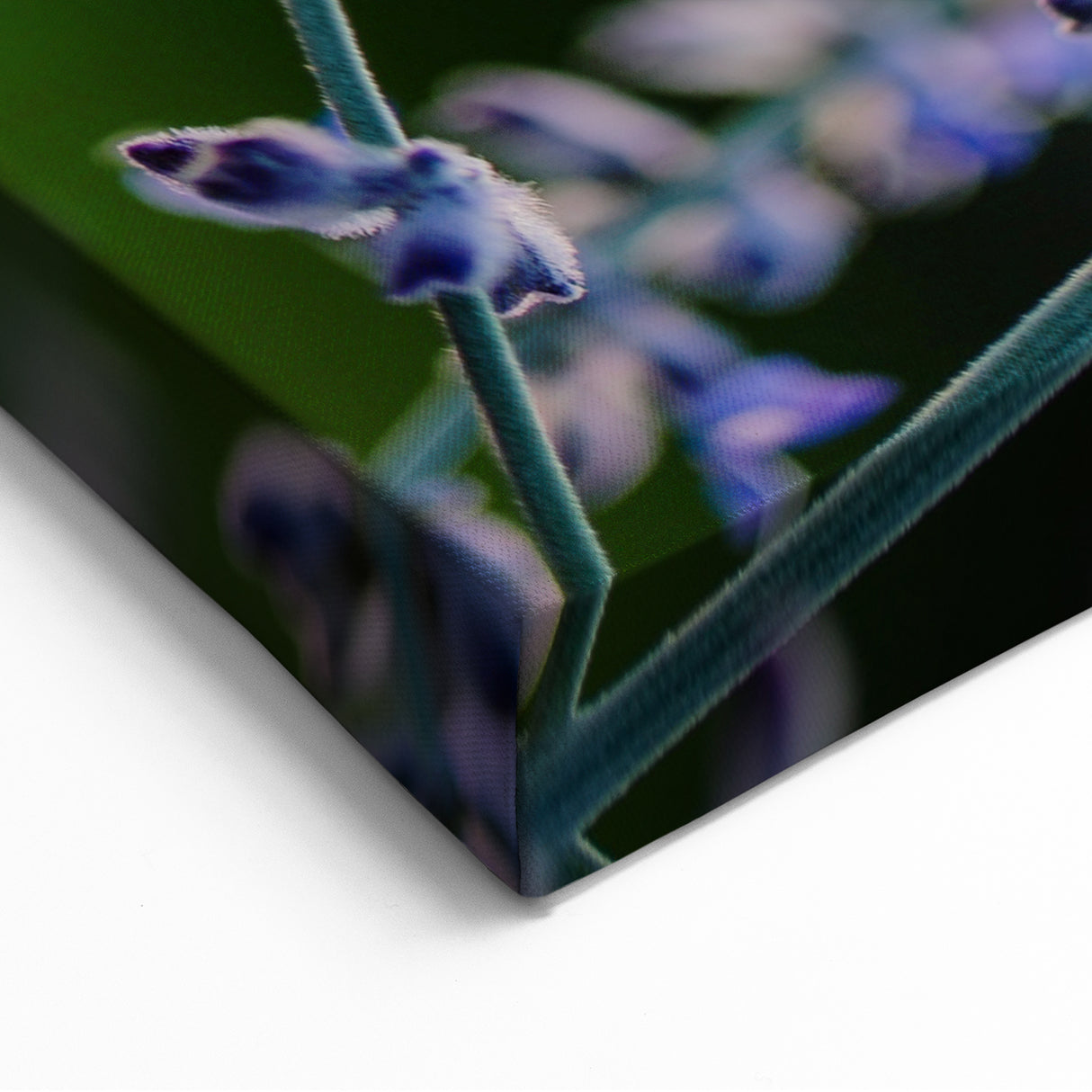 Lavender Blooms and Bee - Spring Wall Art Botanical Canvas