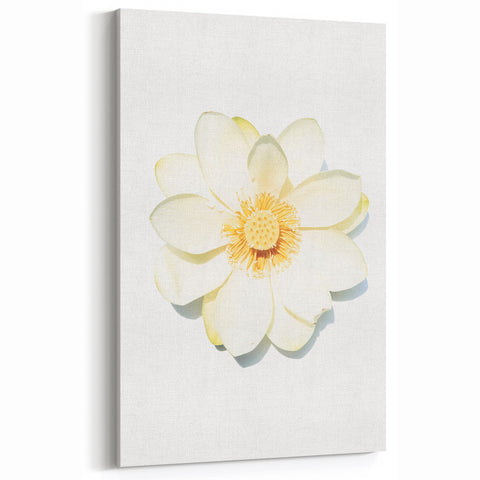 White Lotus Flower - Spring Wall Art Floral Botanical Canvas