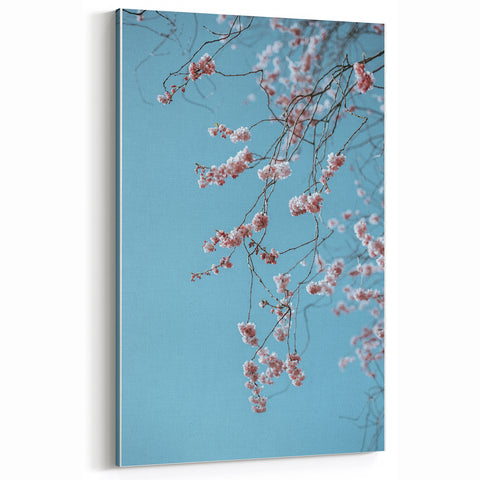 Pink Cherry Blossoms - Spring Wall Art Floral Botanical Decor