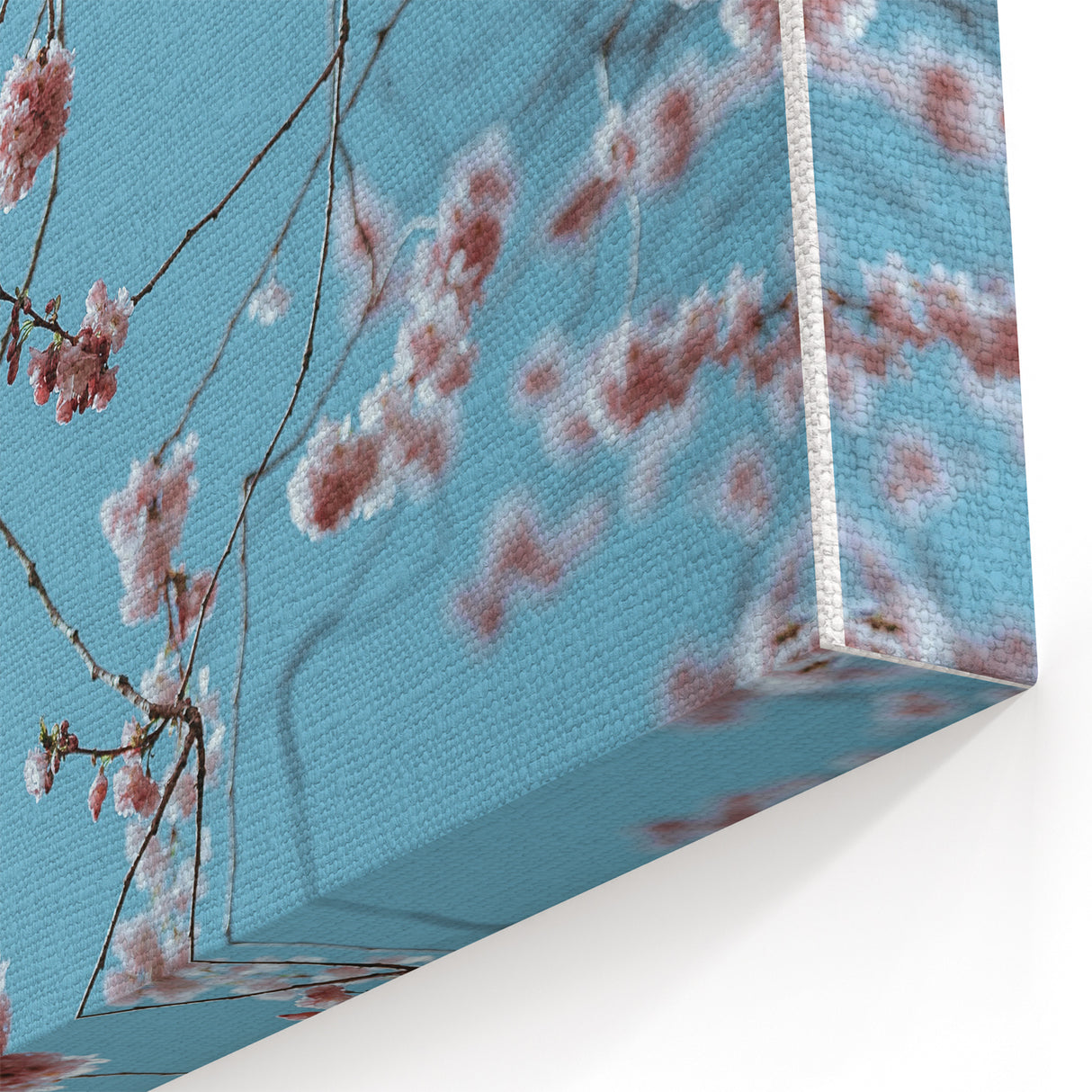 Pink Cherry Blossoms - Spring Wall Art Floral Botanical Decor