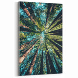 Towering Forest Trees - Spring Landscape Wall Art Botanical Decor