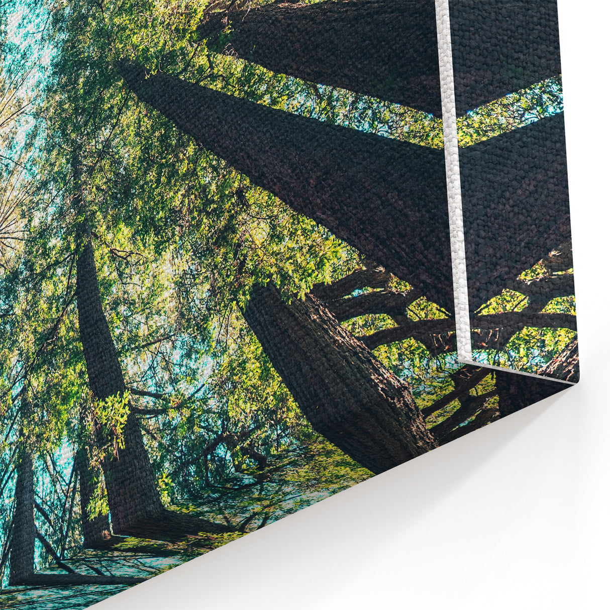 Towering Forest Trees - Spring Landscape Wall Art Botanical Decor