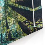 Towering Forest Trees - Spring Landscape Wall Art Botanical Decor