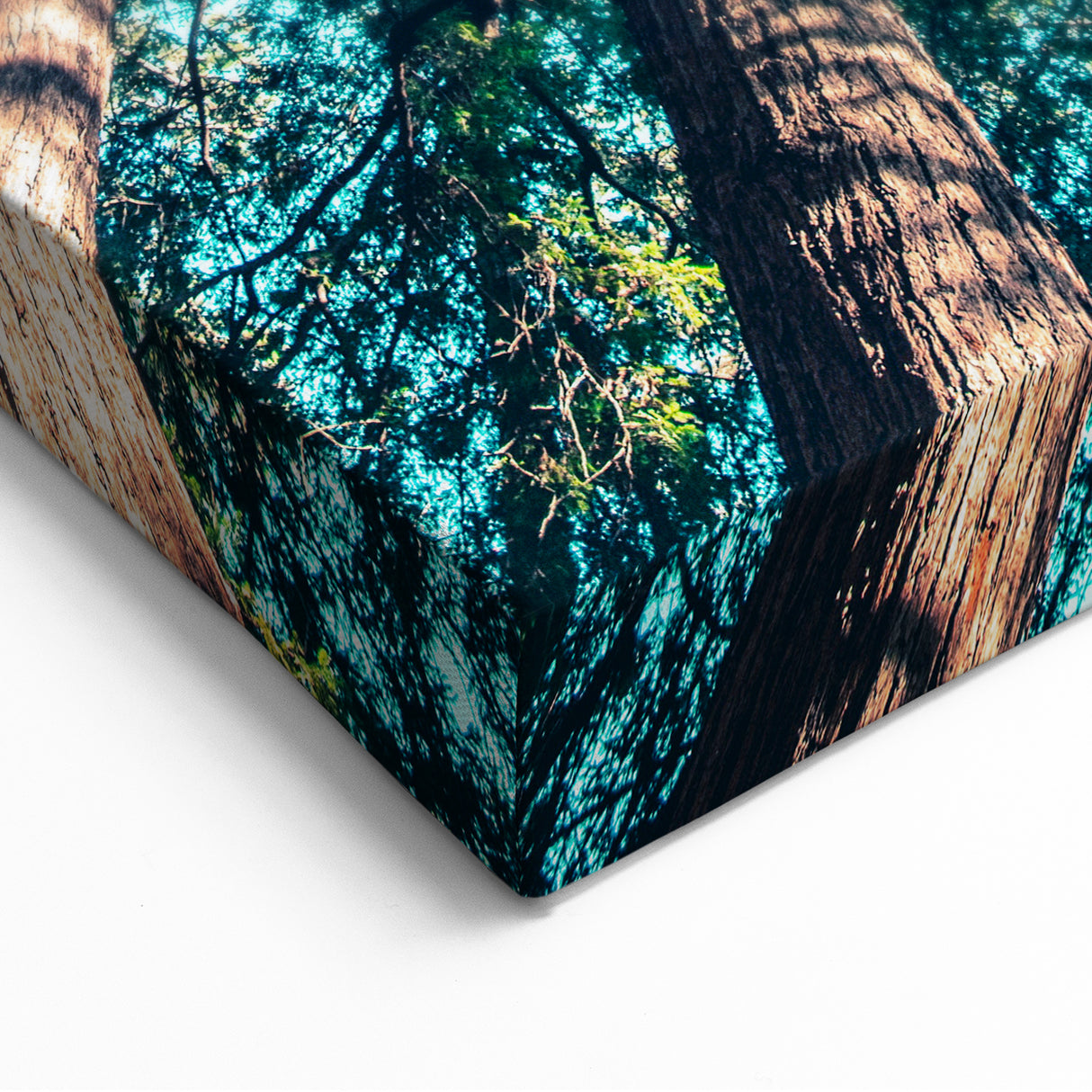 Towering Forest Trees - Spring Landscape Wall Art Botanical Decor