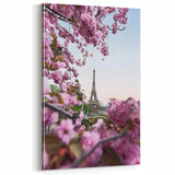 Pink Cherry Blossoms in Paris - Spring Wall Art Floral Canvas Print