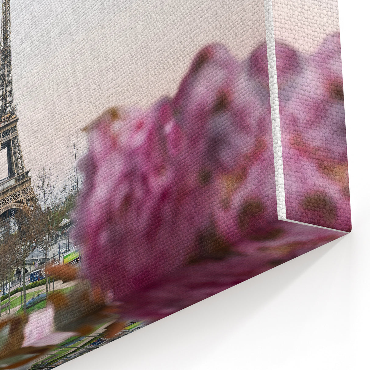 Pink Cherry Blossoms in Paris - Spring Wall Art Floral Canvas Print