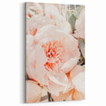 Soft Peach Peony - Spring Wall Art Floral Botanical Canvas