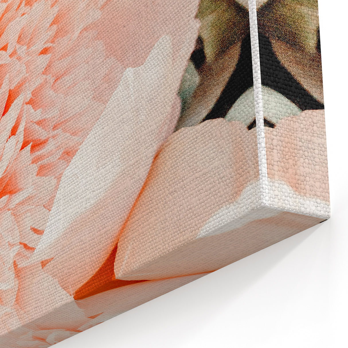 Soft Peach Peony - Spring Wall Art Floral Botanical Canvas