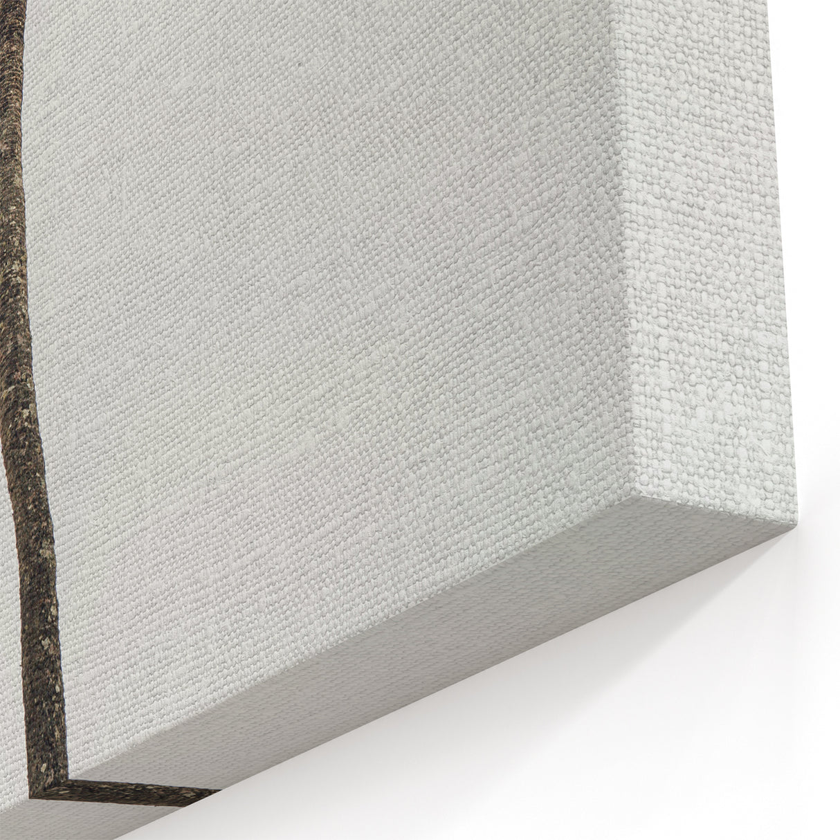 Tropical Wall Art - Minimalist Palm Tree Summer Art Prints