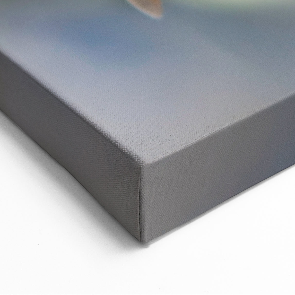 Bee on White Blossom - Spring Wall Art Nature Botanical Canvas