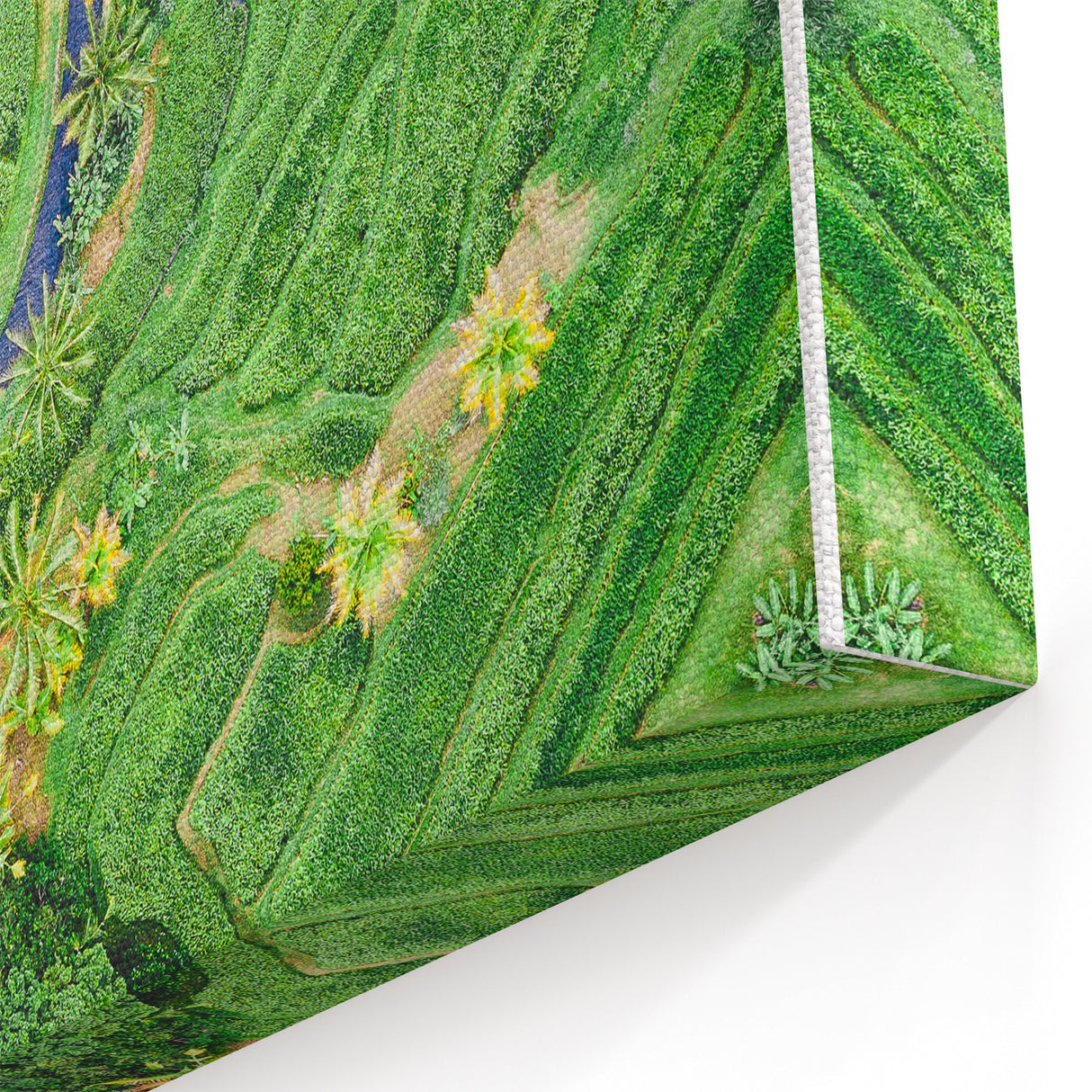 Lush Green Rice Terraces - Spring Wall Art Nature Landscape Canvas