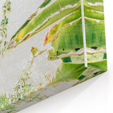 Sunlit Greenery on White Wall - Spring Wall Art Botanical Canvas