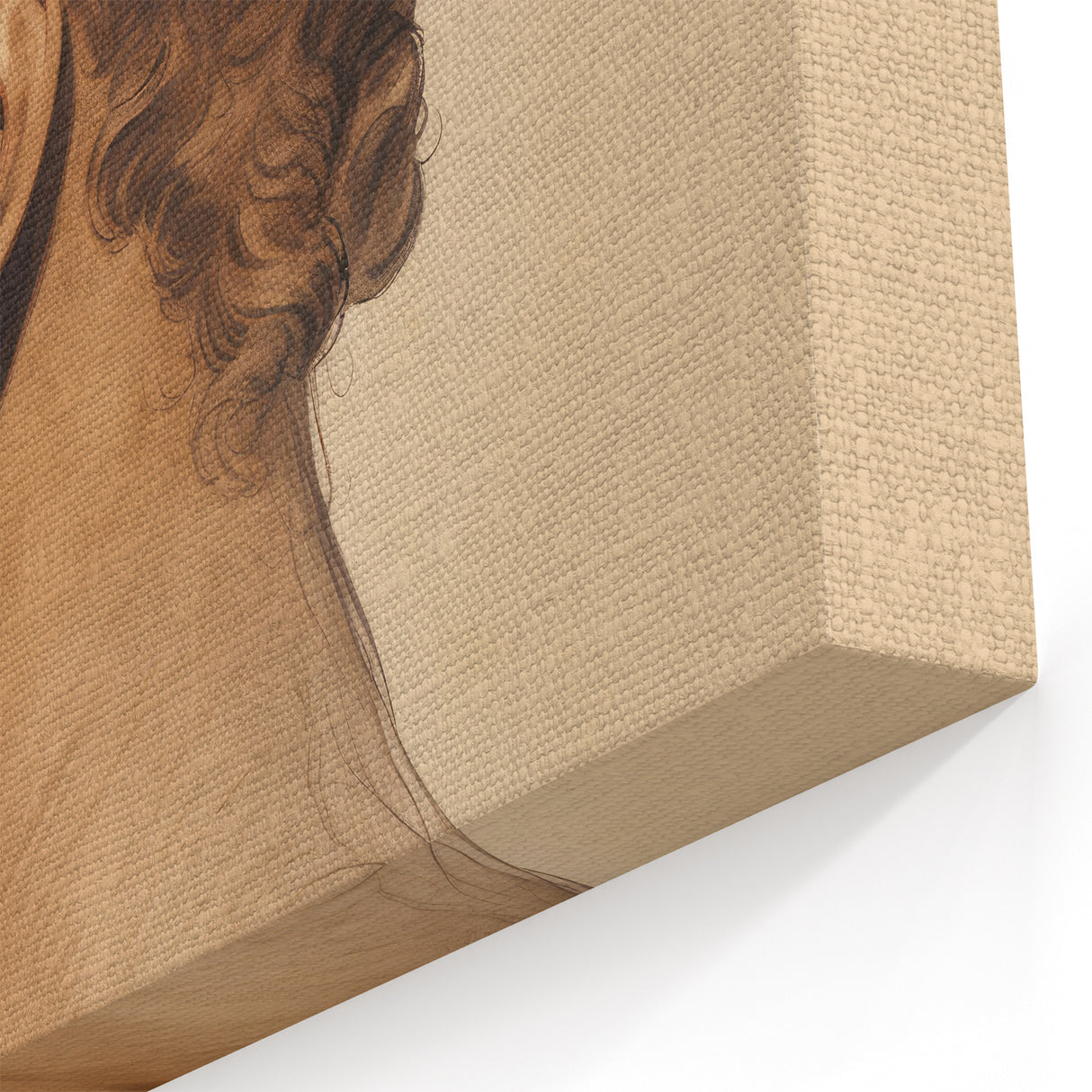 Antique Portrait Prints - Classical Profile Study Vintage Art