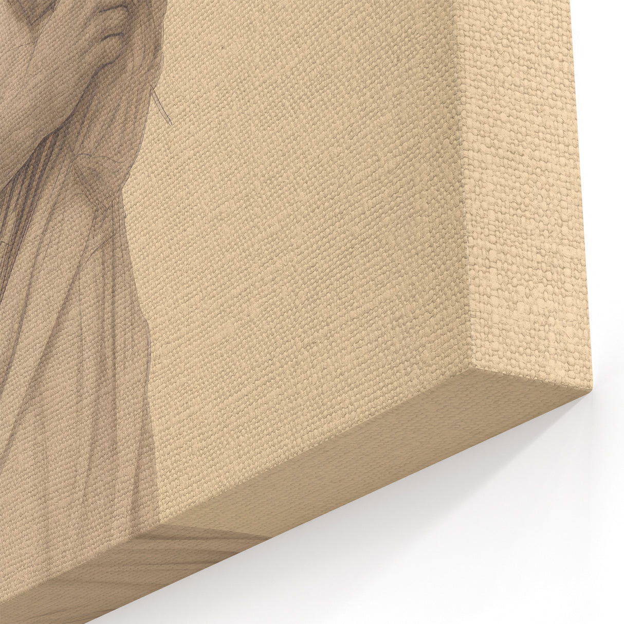 Classic Portrait Artwork - Vintage Statue-Inspired Canvas Art