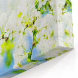 Spring Wall Art – White Blossom Spring Canvas Art for Home Decor