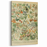 Vintage Botanical Art Prints: Nature-Inspired Floral Wall Art