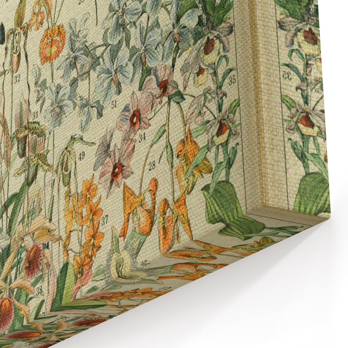 Vintage Botanical Art Prints: Nature-Inspired Floral Wall Art