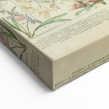 Vintage Botanical Art Prints: Nature-Inspired Floral Wall Art
