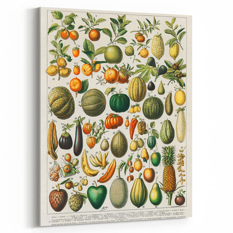Vintage Botanical Art Prints: Fresh Fruit Illustration Wall Art