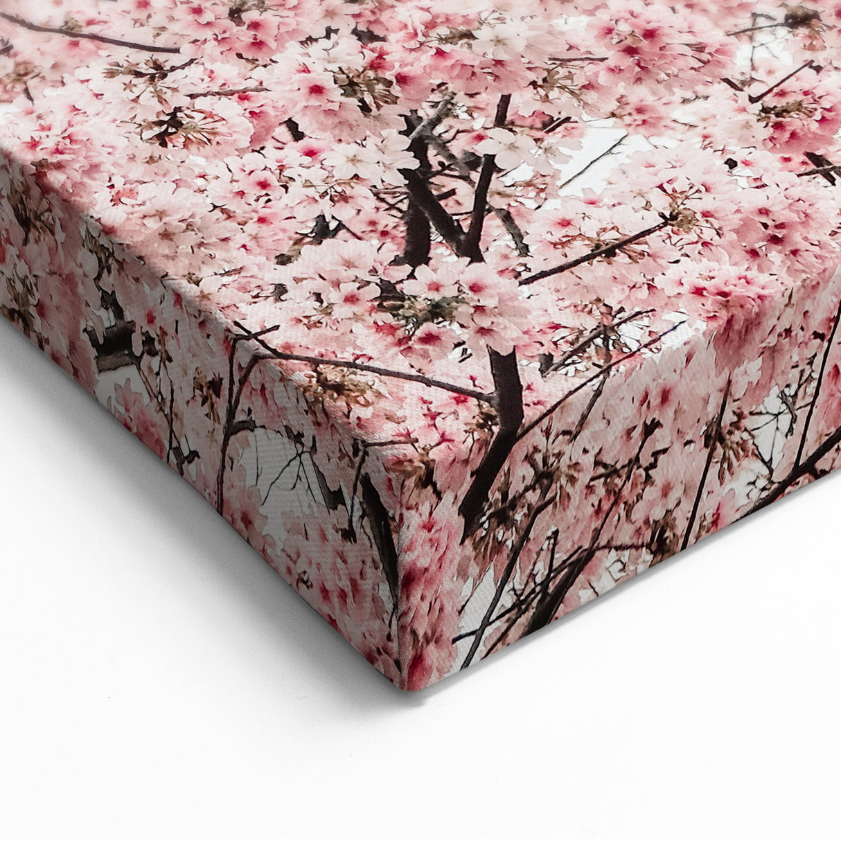 Spring Wall Art – Minimalist Cherry Blossom Canvas Print