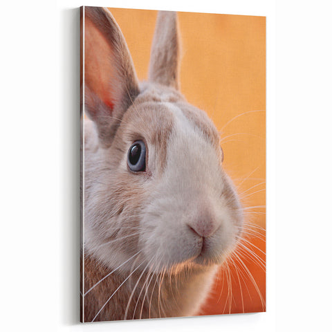 Spring Wall Art – Adorable Bunny Rabbit Canvas Print for Home