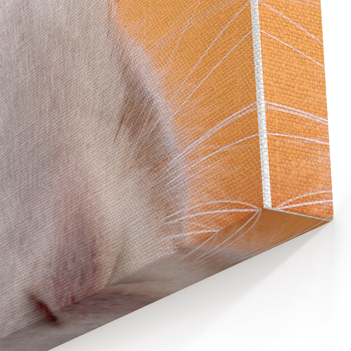 Spring Wall Art – Adorable Bunny Rabbit Canvas Print for Home