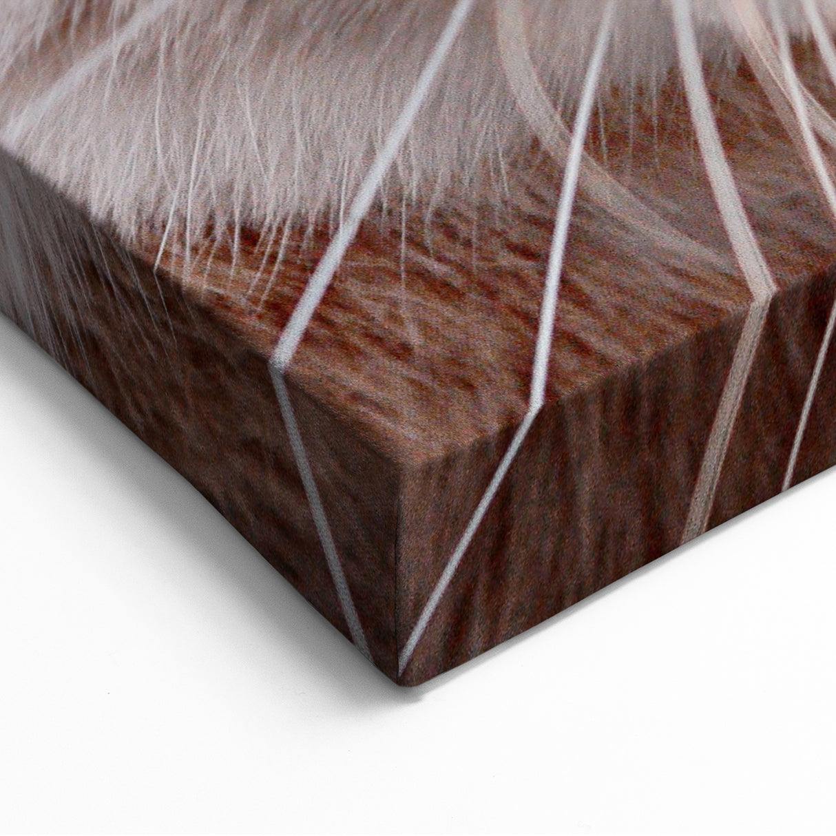 Spring Wall Art – Adorable Bunny Rabbit Canvas Print for Home