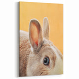 Spring Wall Art – Cute Bunny Close-Up Canvas Print for Home