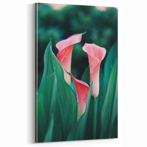 Spring Wall Art – Elegant Calla Lily Floral Canvas Print