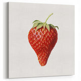 Strawberry Fruits Wall Art - Fruit Canvas Art & Kitchen Fruit Decor