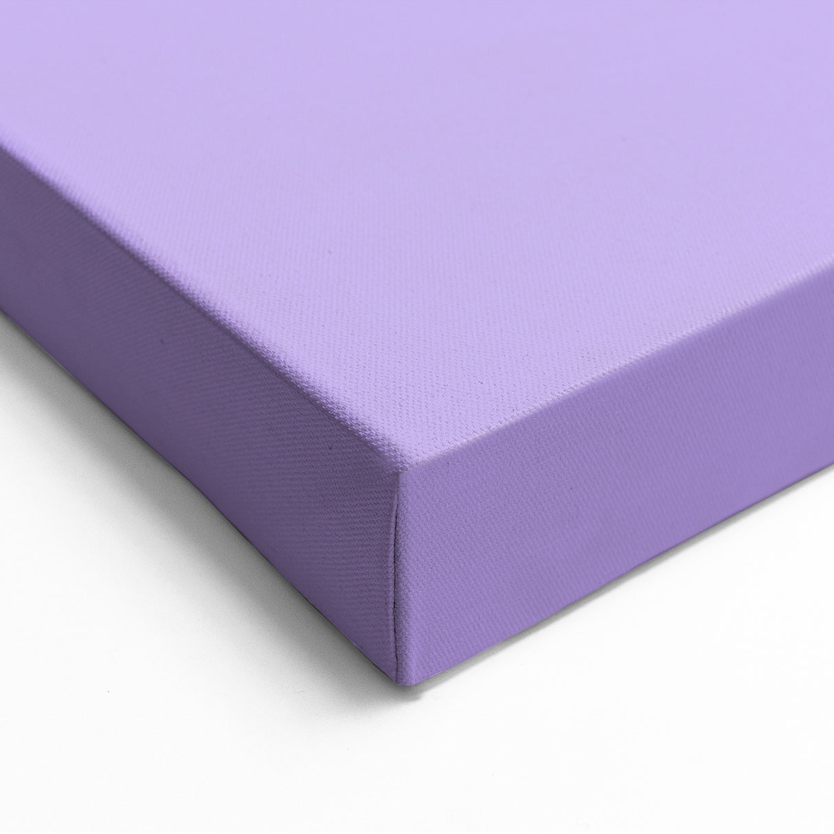 Papaya Fruit Art Prints - Fruit Wall Decor & Botanical Kitchen Art