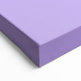 Papaya Fruit Art Prints - Fruit Wall Decor & Botanical Kitchen Art