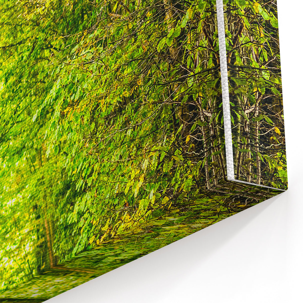Spring Landscape Wall Art – Tranquil Forest Path Canvas Print