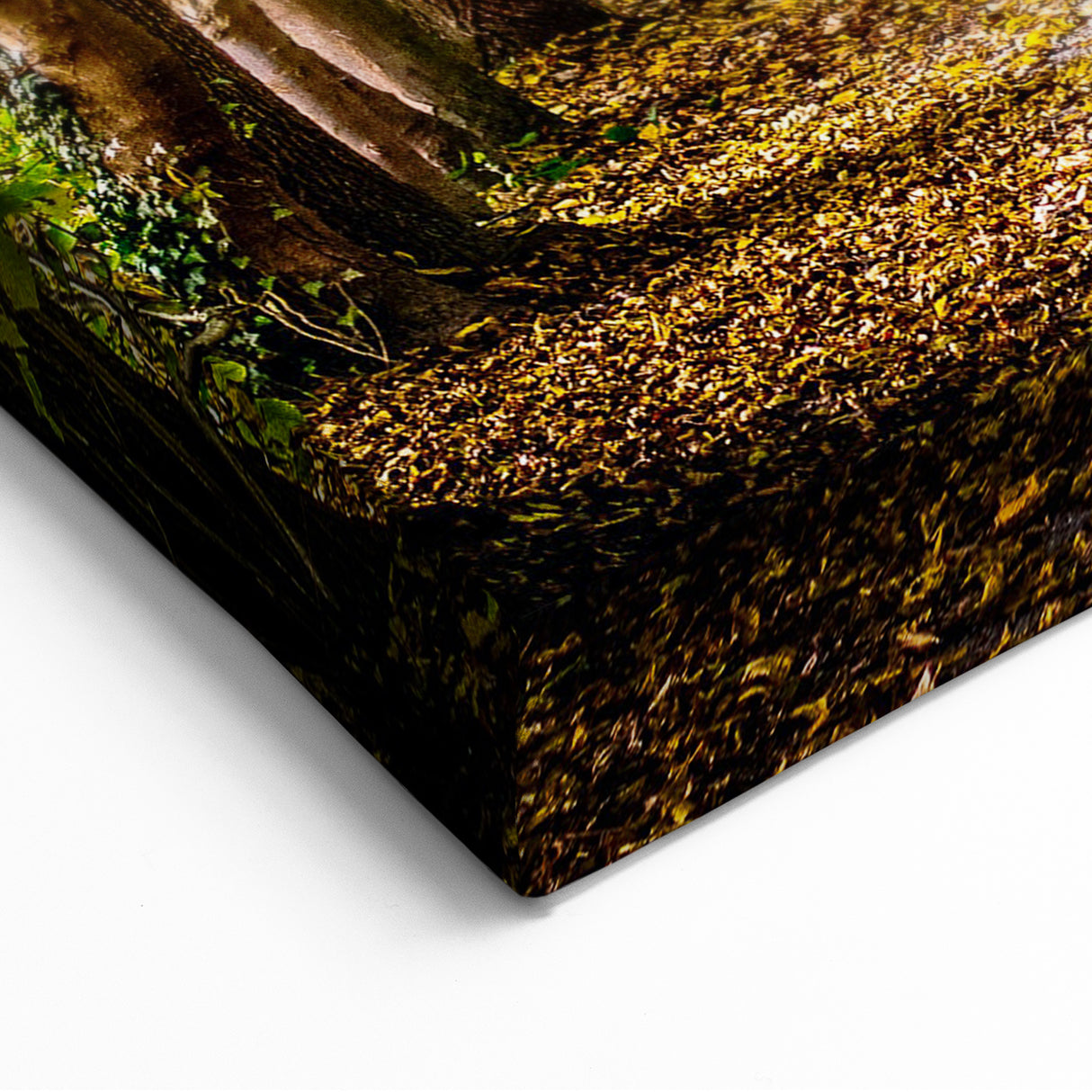 Spring Landscape Wall Art – Tranquil Forest Path Canvas Print