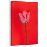 Floral Wall Art – Bold Red Tulip Spring Canvas Art for Home