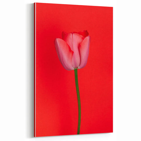 Floral Wall Art – Bold Red Tulip Spring Canvas Art for Home