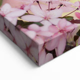 Botanical Wall Art – Pink Blossom Spring Canvas Art for Home