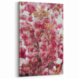 Spring Wall Decor – Soft Pink Cherry Blossom Canvas Art