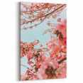 Spring Art Prints – Cherry Blossom Branches Canvas Wall Art