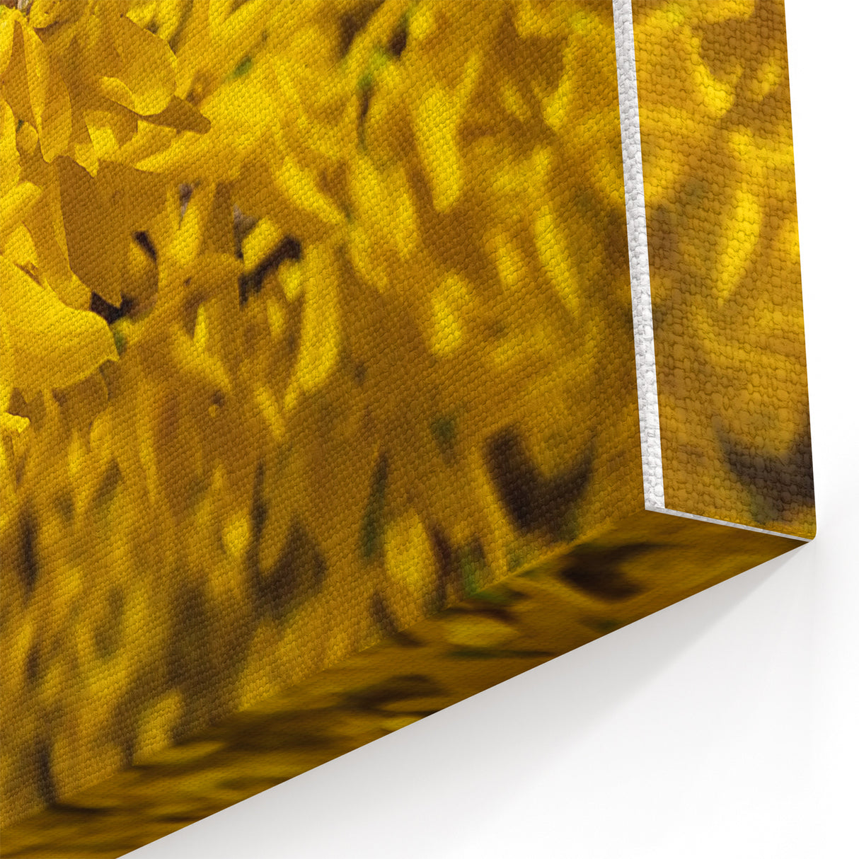 Spring Canvas Art – Vibrant Yellow Forsythia Floral Wall Print