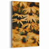 Spring Wall Art – Golden Black-Eyed Susan Floral Canvas Print