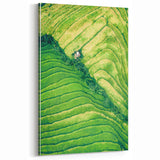 Spring Landscape Wall Art – Lush Green Terraced Fields Canvas